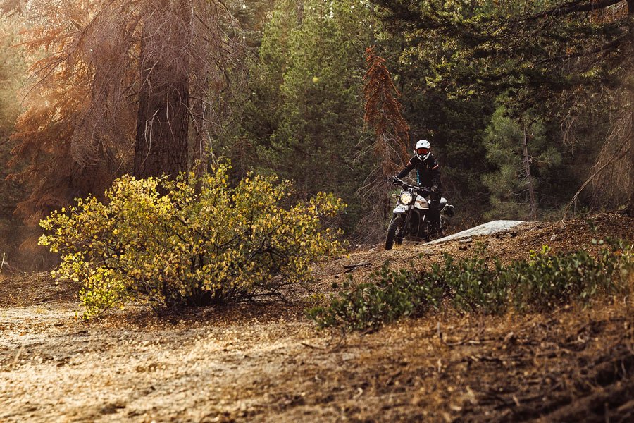 ducati desert sled review 4