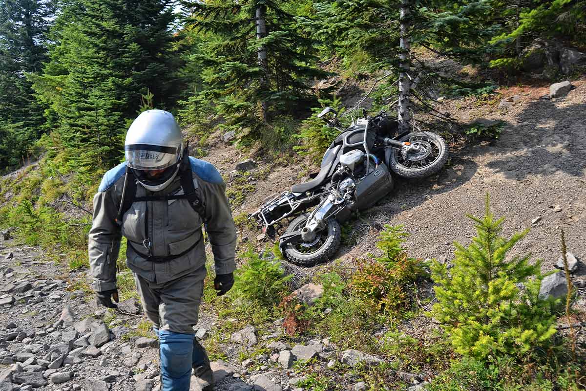 The Four MPH Brain Body image 1