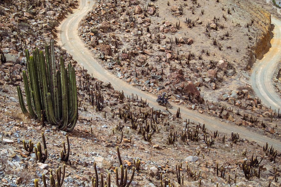 blog offroad tracks 1