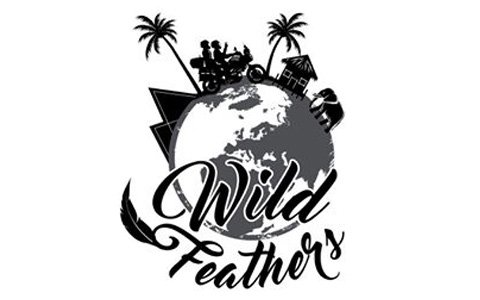 wildfeathers-blog-pros-and-cons-of-blogging