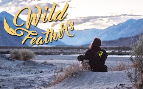 things-left-unsaid-wildfeathers