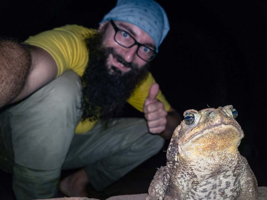 worldvespa blog 6 crazy tips toad