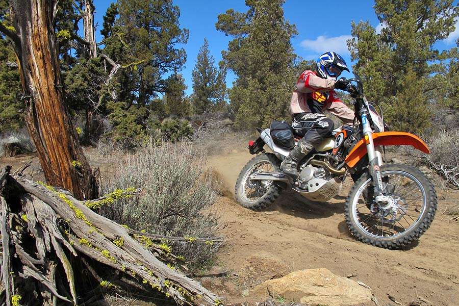 Giant Loop Industry Profile 1