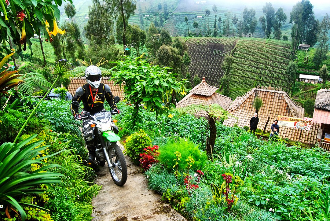 ADVMotoPhotoPicks 09