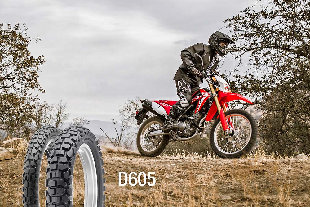 DunlopD605 DualSportTire