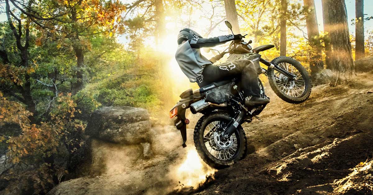 Kawasaki 2021 KLX300 Roost