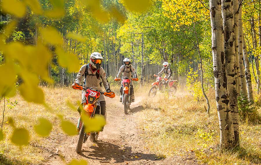 REVIT 2018 Womens Team 900BODY