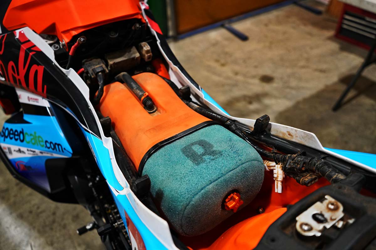 Journey to Dakar Rottweiler