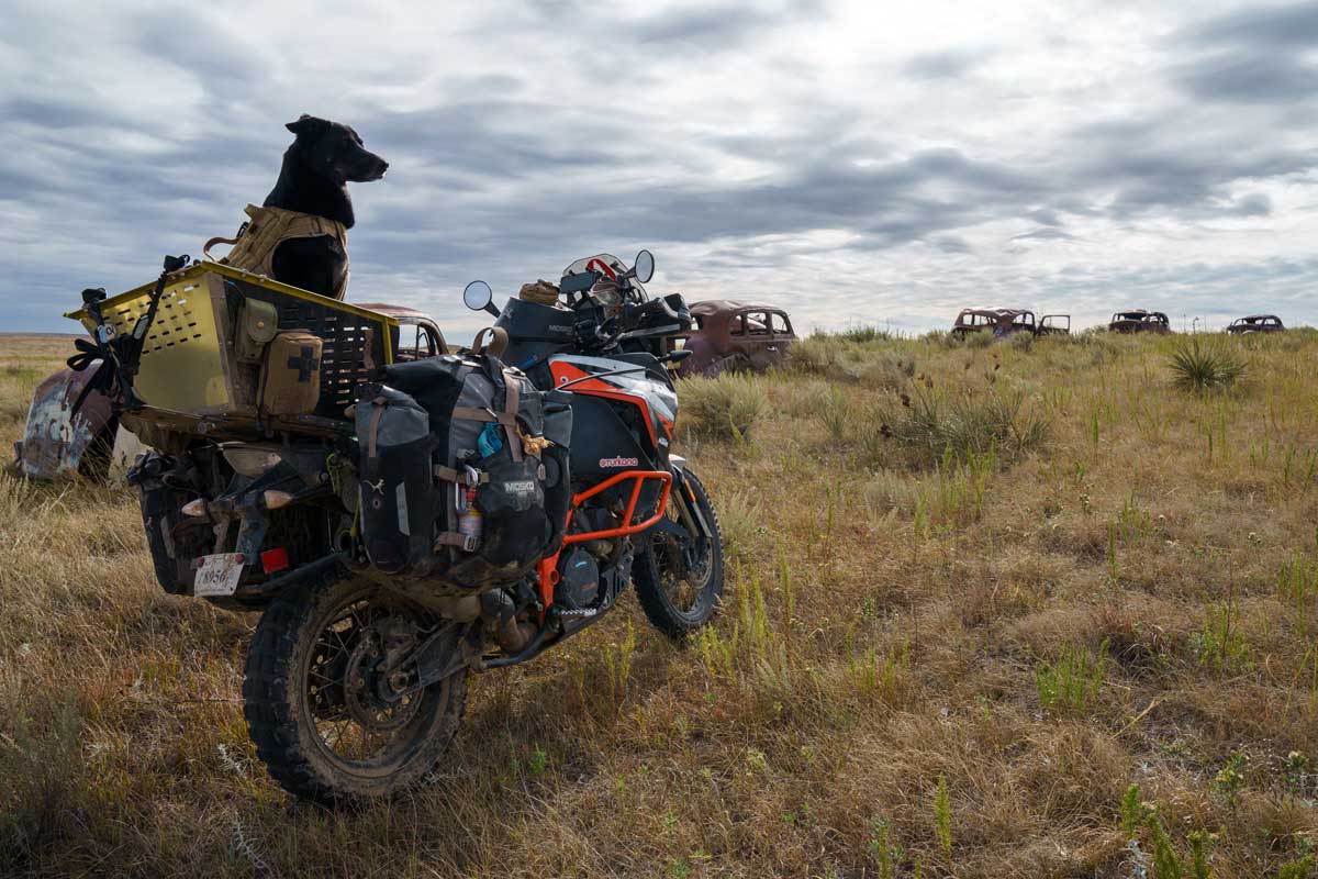 Anecdotes from the Saddle surak