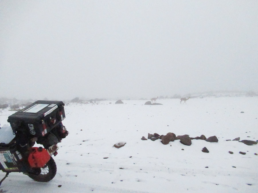 20171210154643 IMG 8910