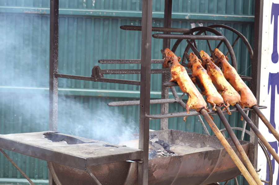 ecuador freedom bike rental 06