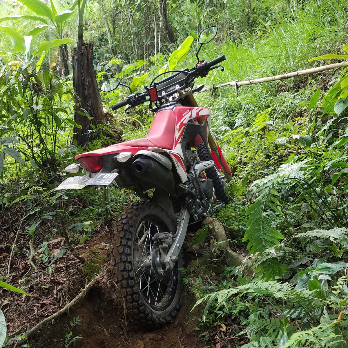 Extreme Indonesia jungle