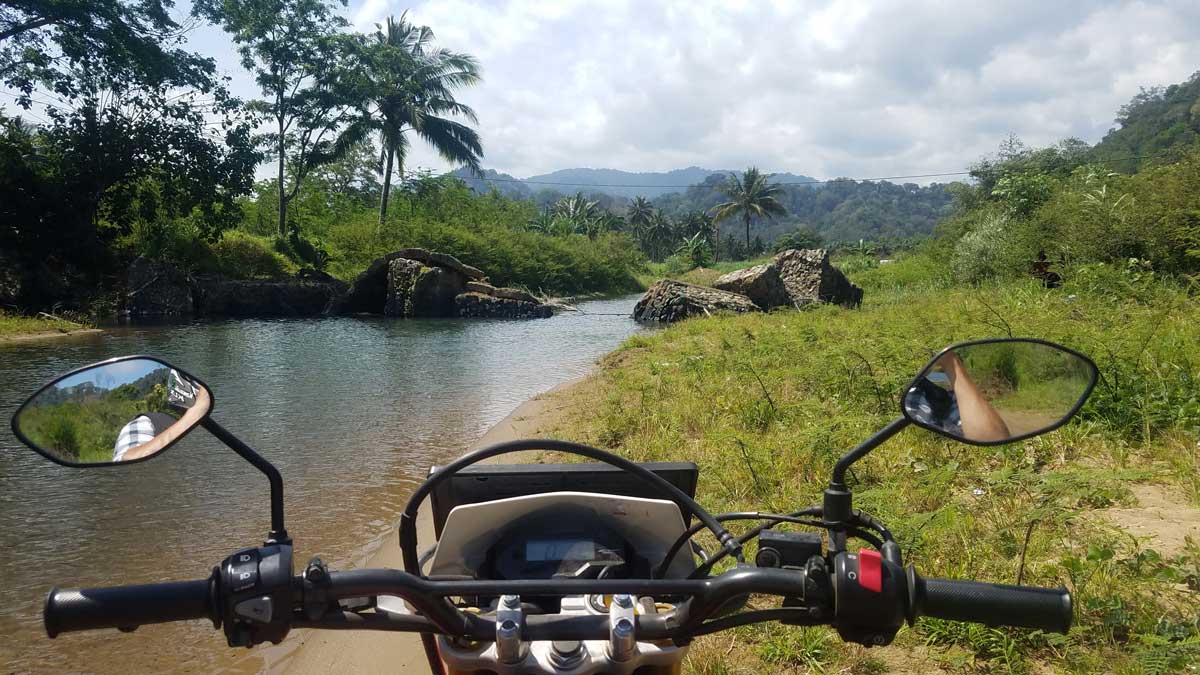 Extreme Indonesia tree