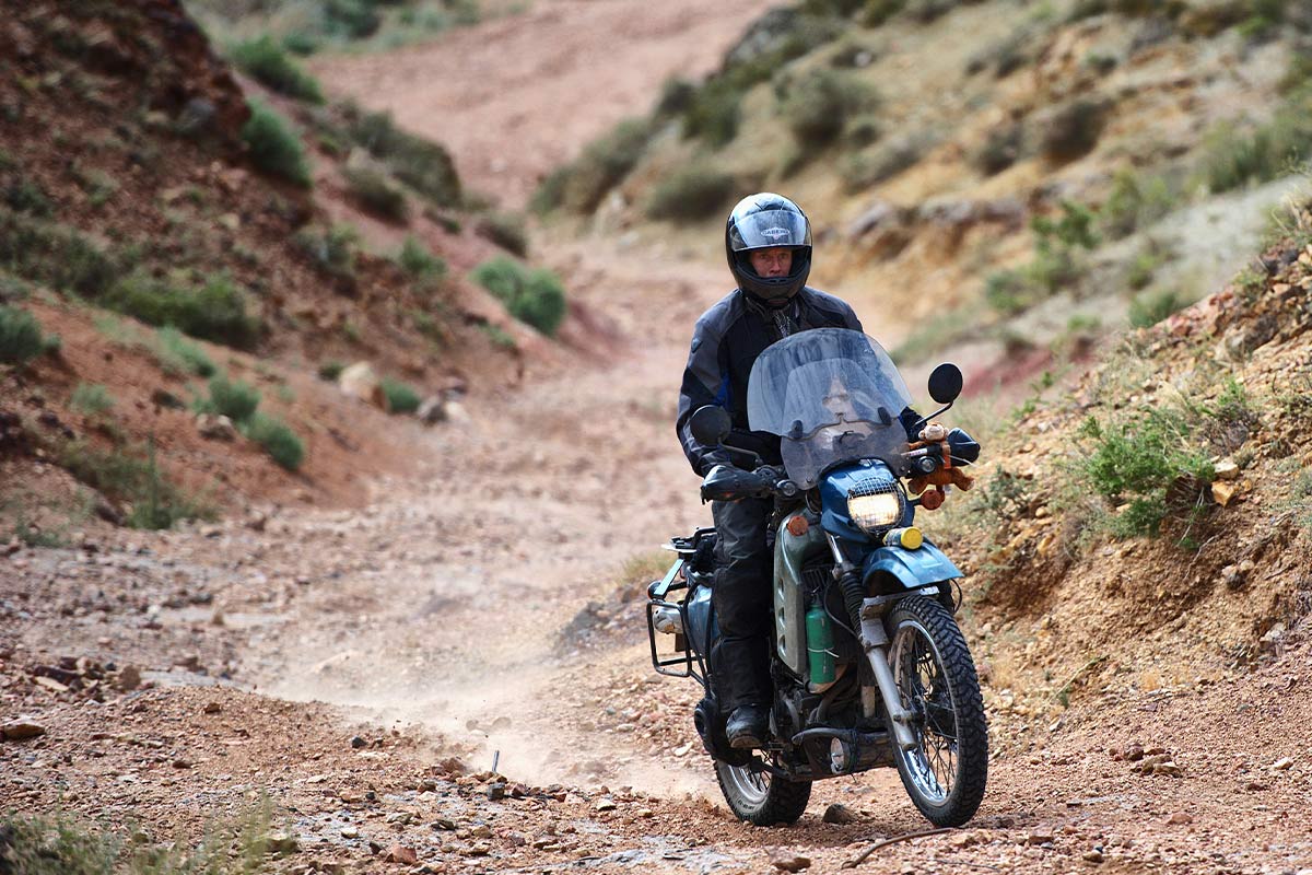 Body image 1 Its Remarkable What You Find on the Road