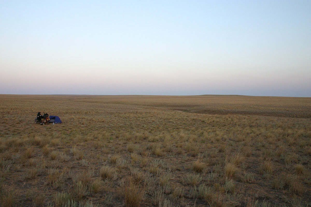 Body image 7 Its Remarkable What You Find on the Road