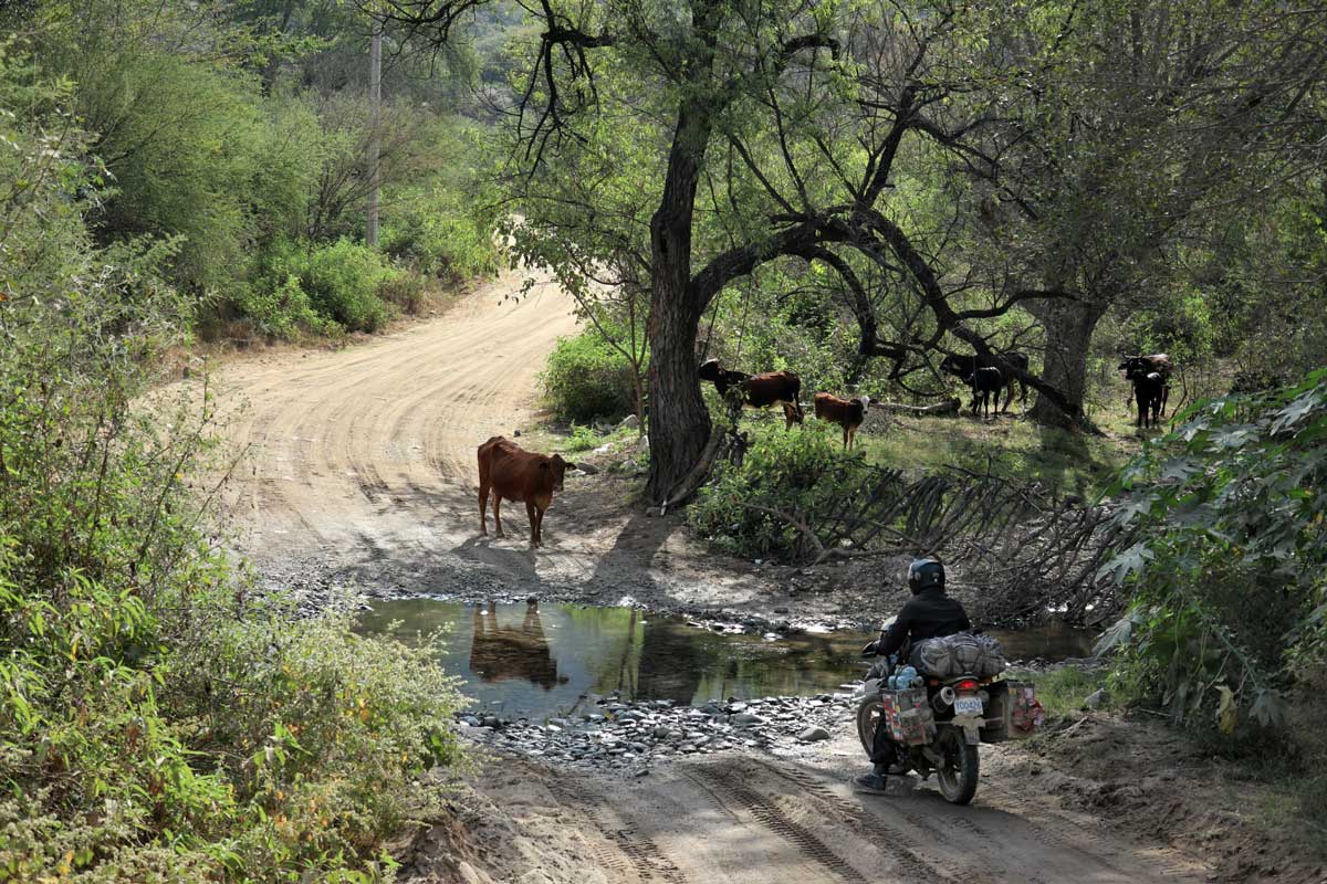 Mexico Copper Canyon river