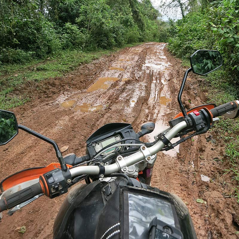 Mishap on the Mosquito Coast body image 5