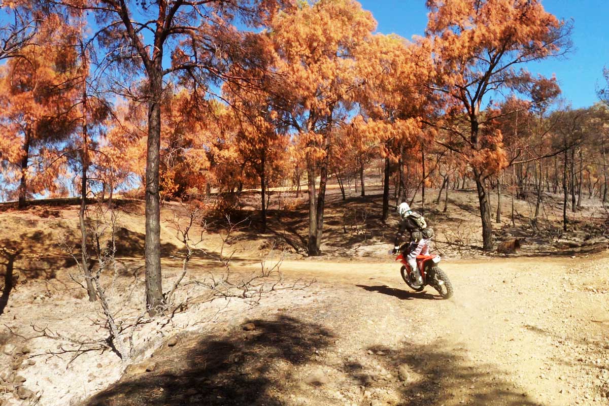 My First Enduro Ride 3