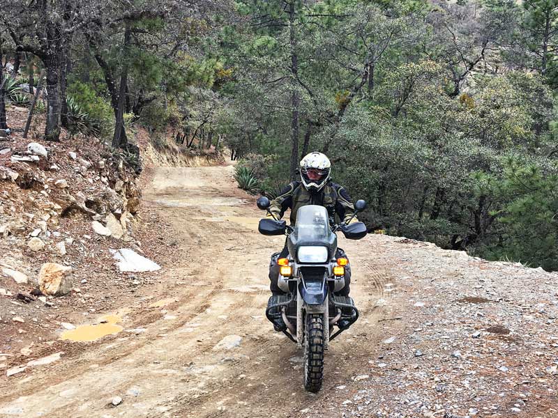 Road to Real de Catorce monterrey