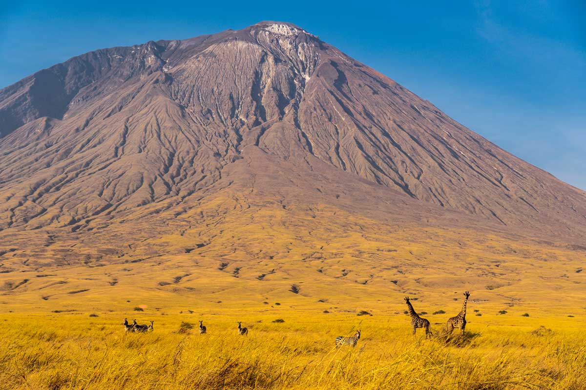 Tazania hidden gem odl