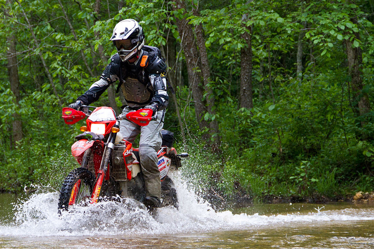 The Missing Link Body image 1