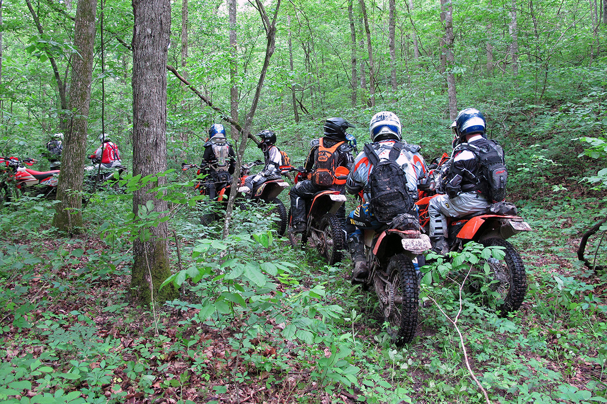 The Missing Link Body image 2