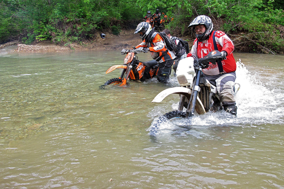 The Missing Link Body image 4