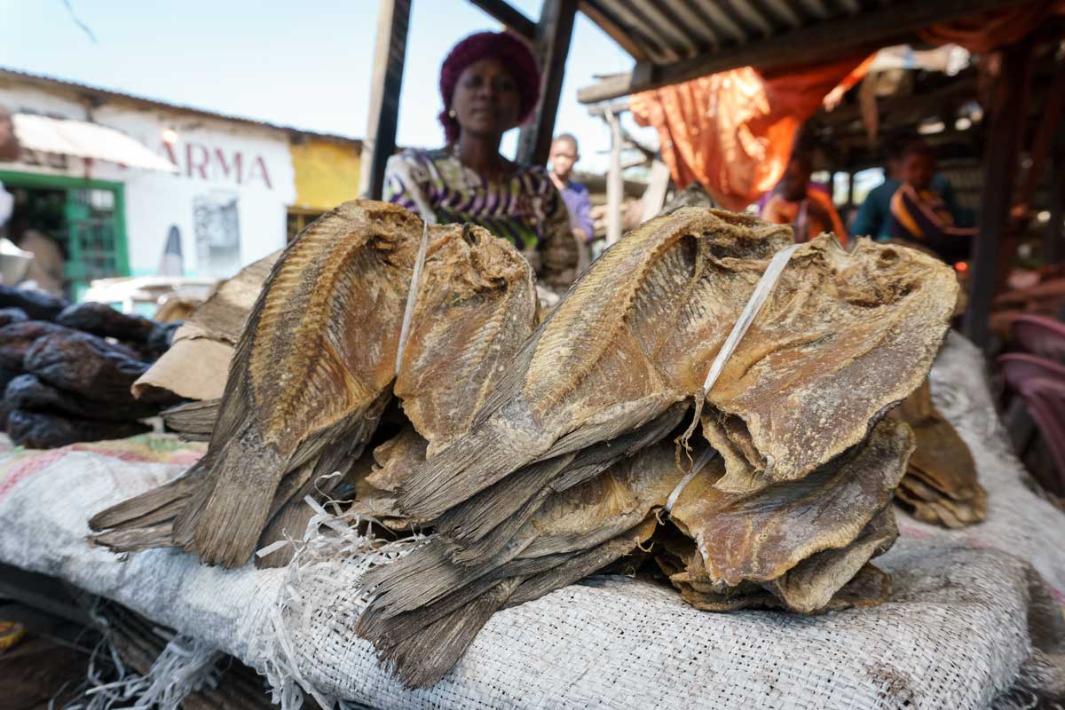 africa food worldvespa fish