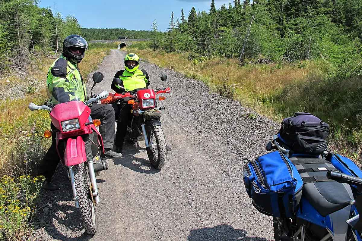 What Goes Around Comes Around Body Image 1