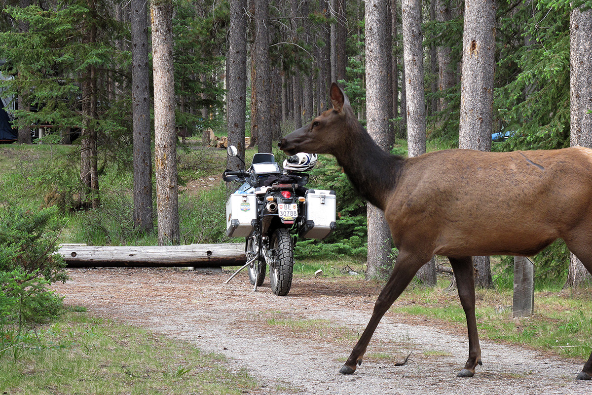Yukon2010 342 Body image 3