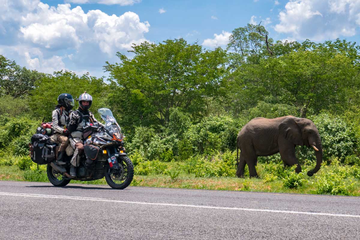 Couples Riding Tips elephant