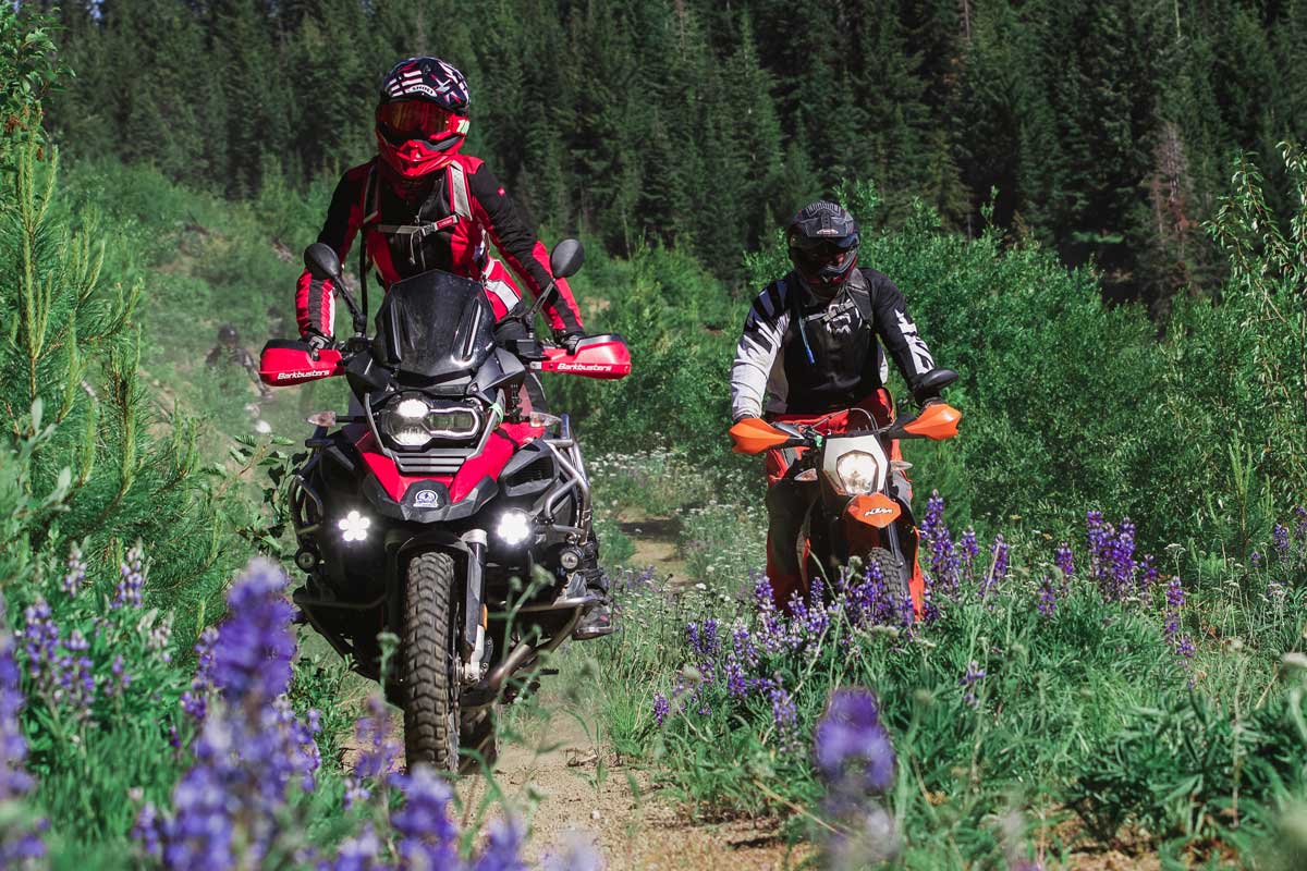 How to Survive ADV Ride partner