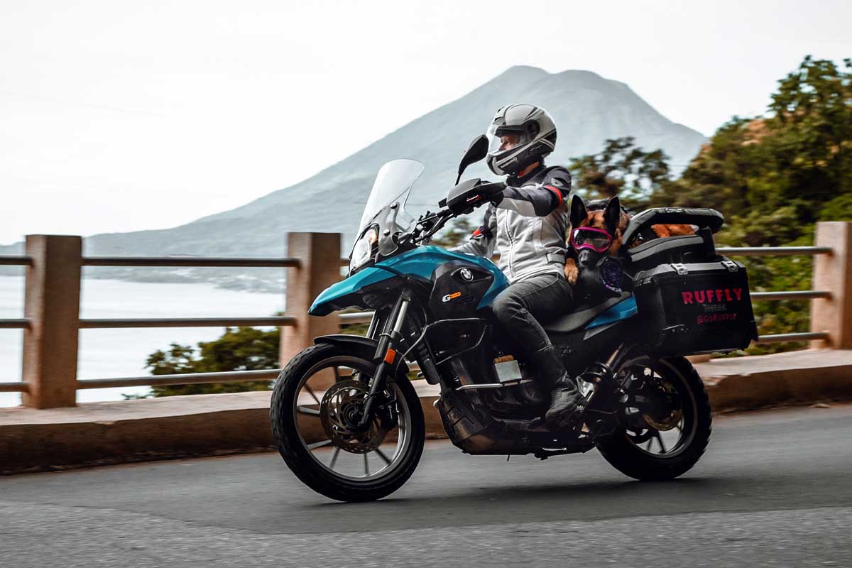 Riding with Big Dog twisties