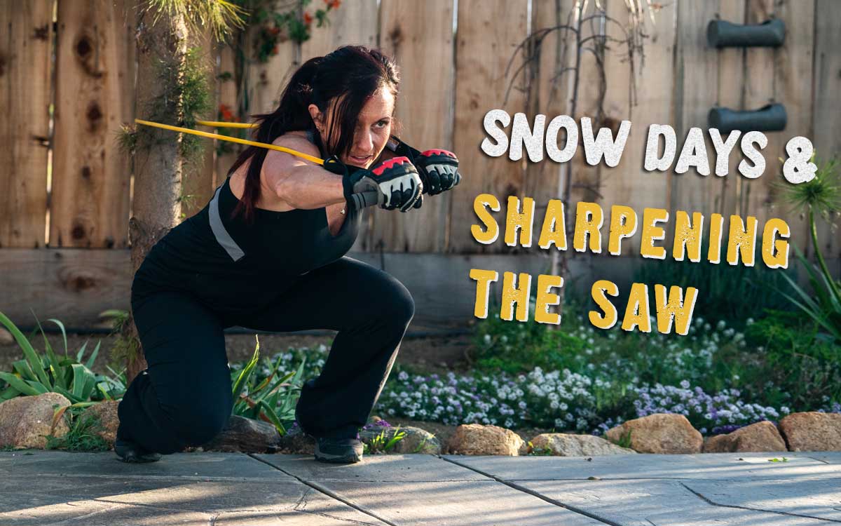 Snow Days and Sharpening the Saw intro