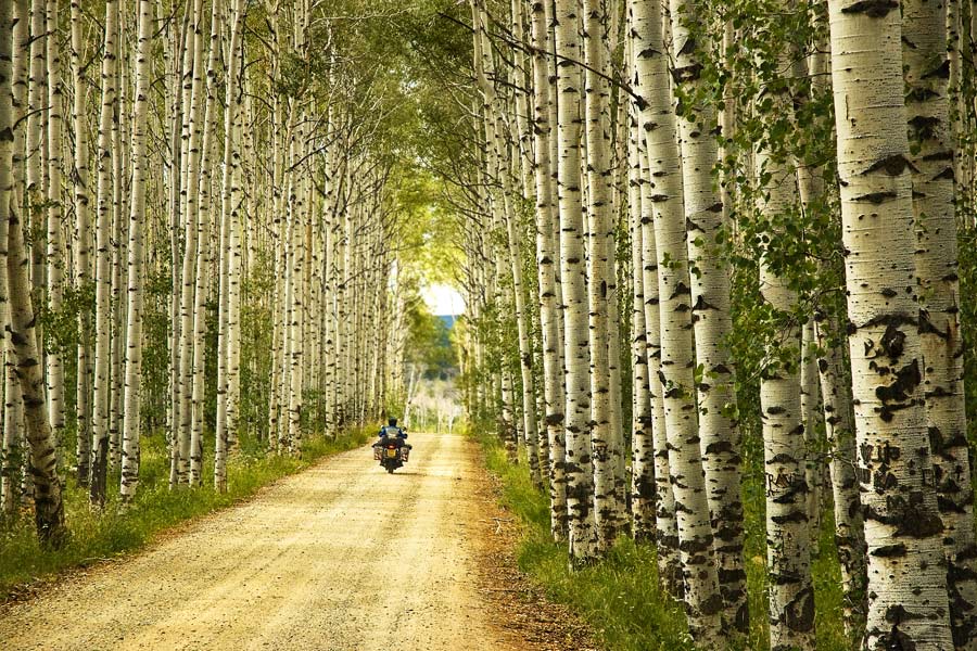 road travel lifestyle tips 2