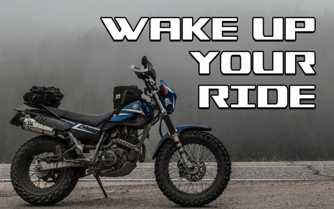 Wake Up Your Bike From Winter