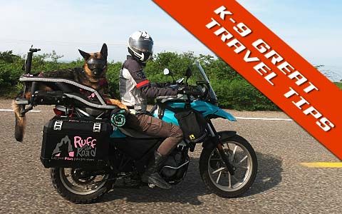 K-9 Tips for Motorcycle Travel with Your Dog