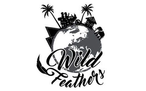 wildfeathers-blog-pros-and-cons-of-blogging