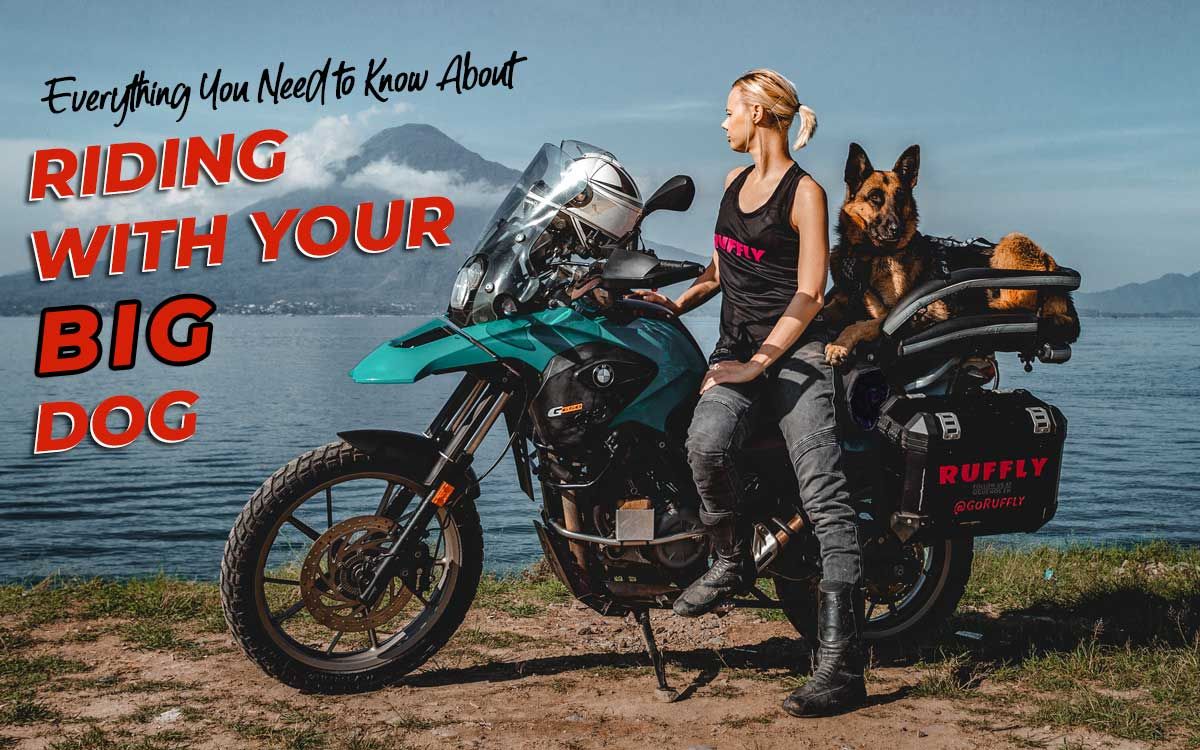 Ride with Big Dog full