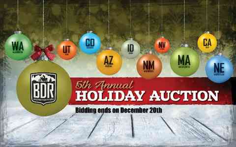 BDR 2020 Holiday Auction Goes Live