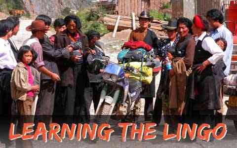 Learn The Lingo Intro