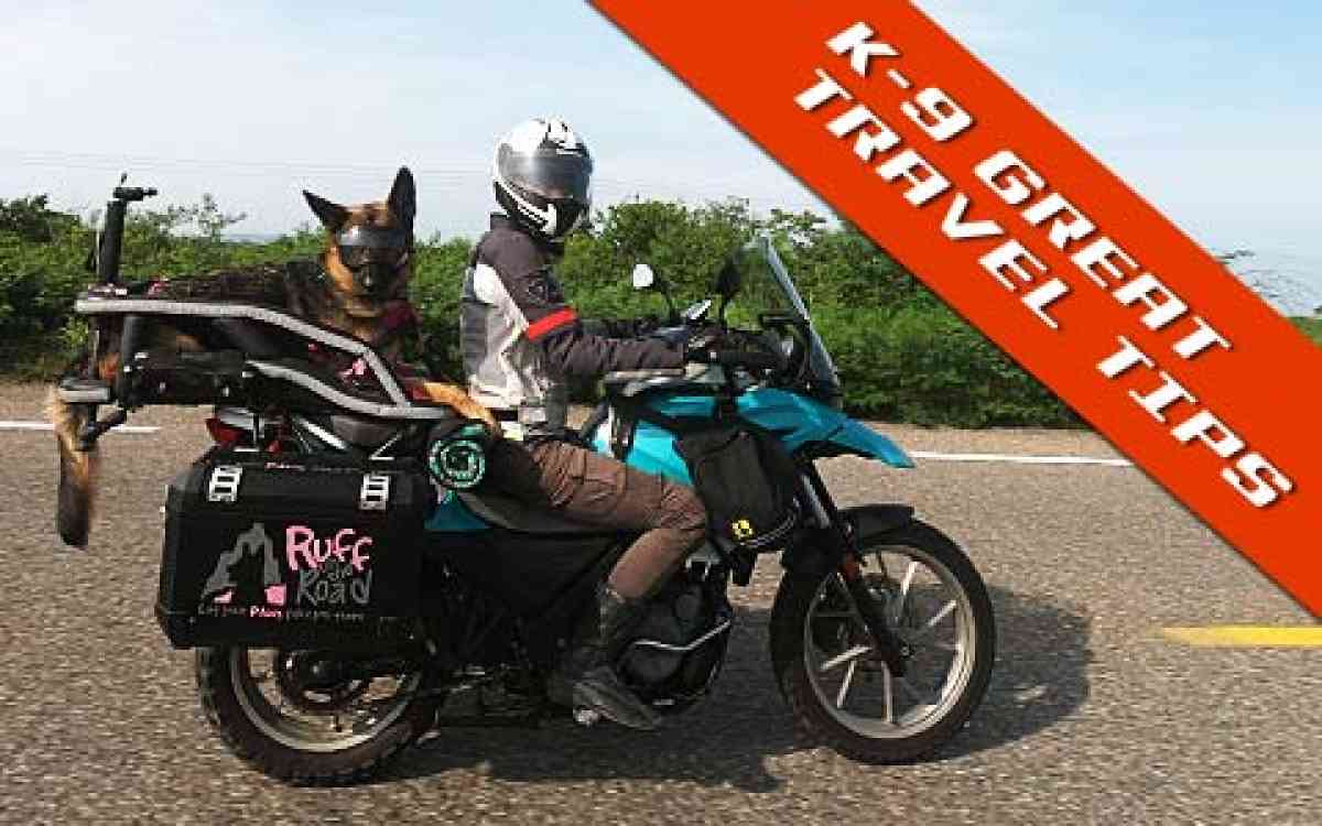 K-9 Tips for Motorcycle Travel with Your Dog