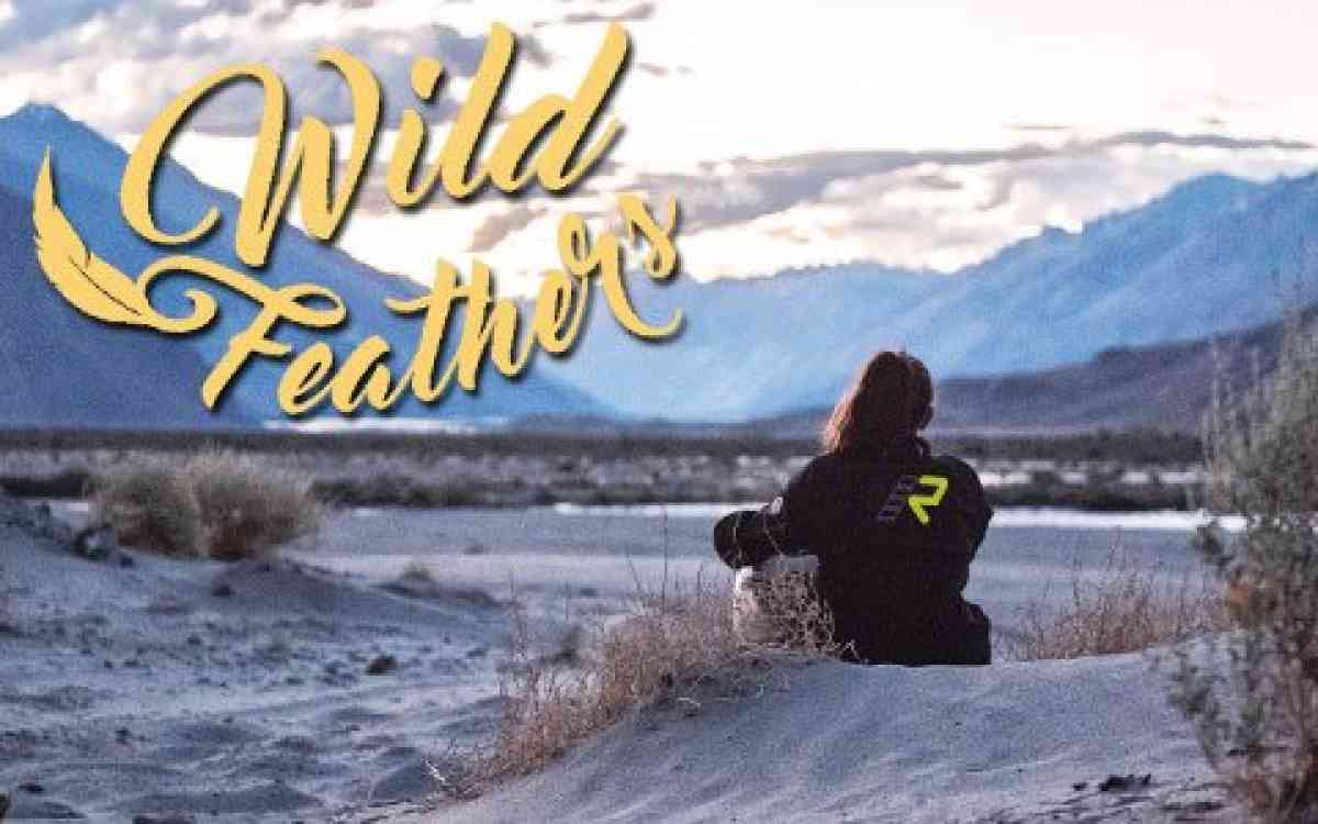 things-left-unsaid-wildfeathers