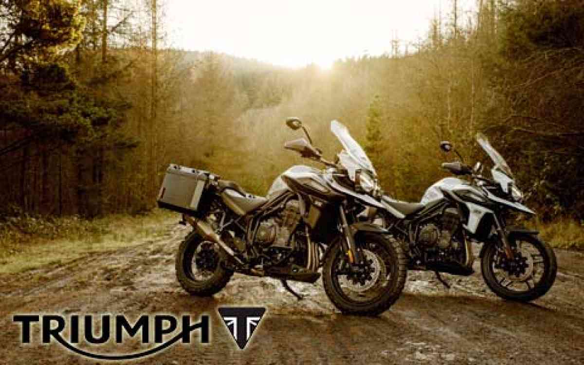 2020 Triumph Tiger 1200 Desert And Alpine SE full