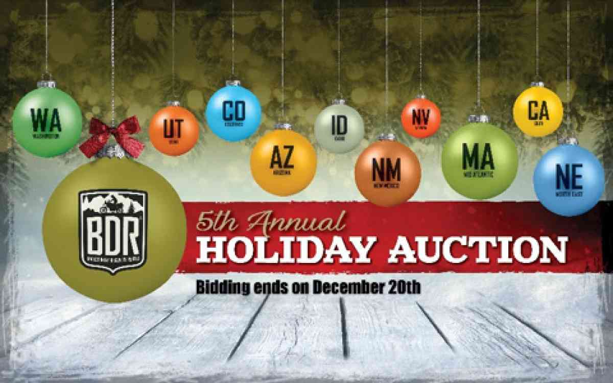 BDR 2020 Holiday Auction Goes Live