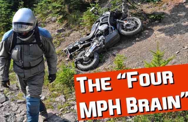 Four MPH Brain intro