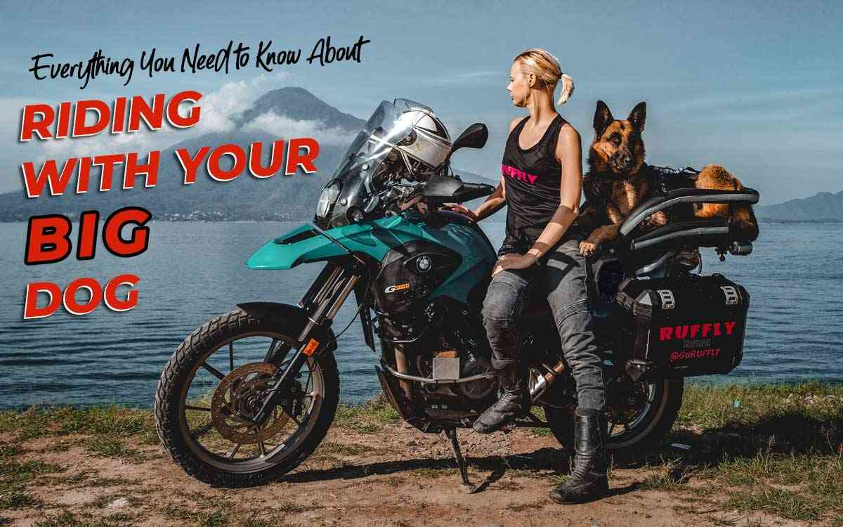 Ride with Big Dog intro