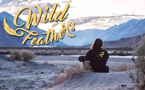 things-left-unsaid-wildfeathers