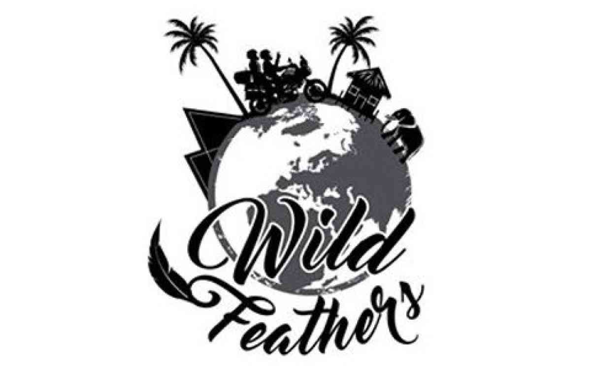 wildfeathers-blog-pros-and-cons-of-blogging