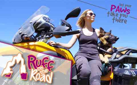 ruff-on-the-road-jessica-stone